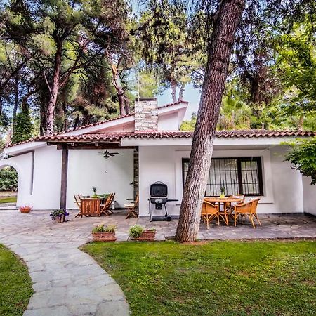 Beautiful Holiday Villa In Sani Sani  Buitenkant foto