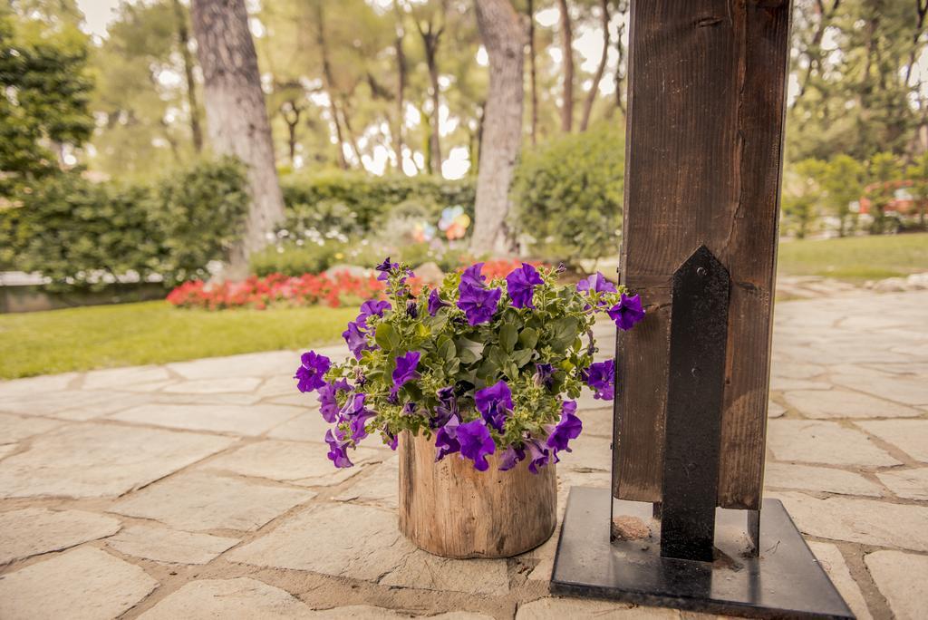Beautiful Holiday Villa In Sani Sani  Buitenkant foto